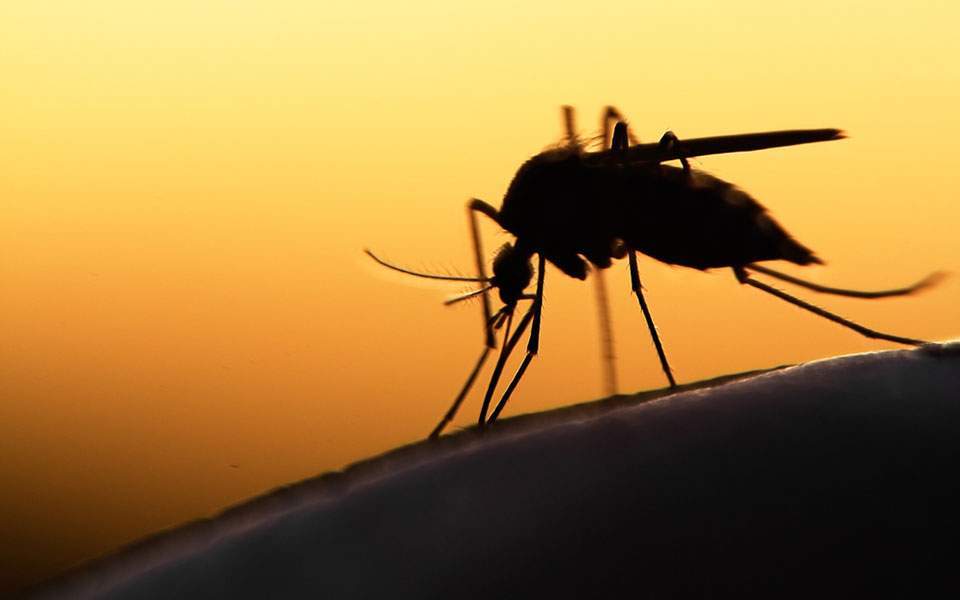 Duval and Nassau counties each reporting a case of West Nile Virus