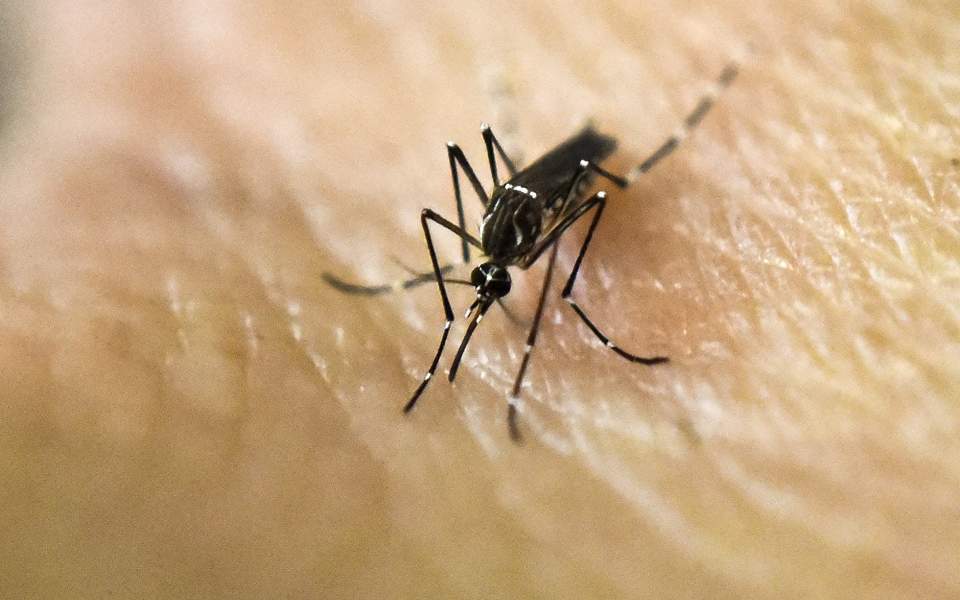 NV's First 2018 Human Case Of West Nile Virus In Lyon County