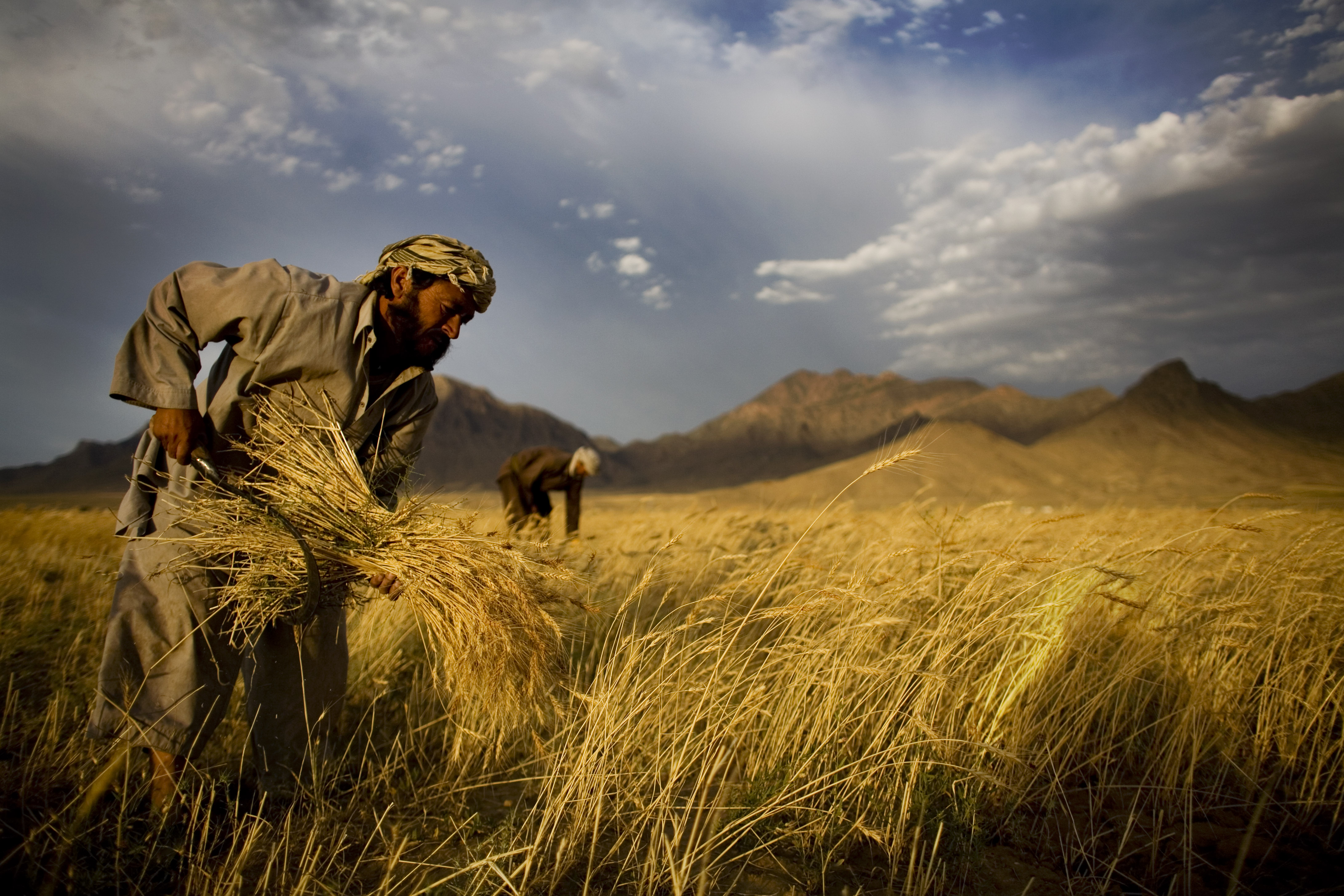afghan_farmers