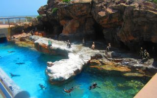 Aquaworld Aquarium | Crete | Year-Round