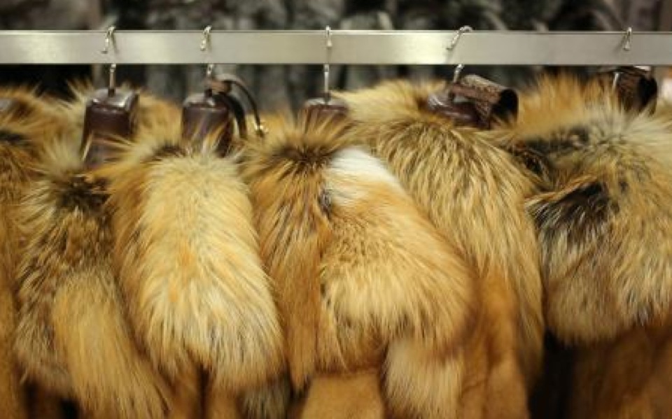 Robbers steal 200,000 euros’ worth of fur coats from Halkidiki store
