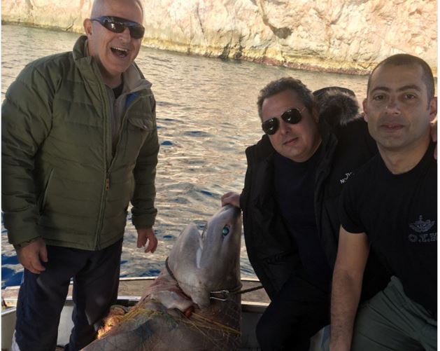 WWF slams Kammenos for photo with dead shark