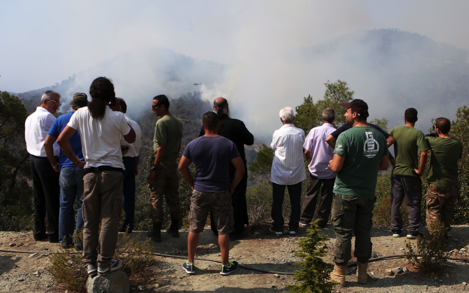 Cyprus blaze chars forests, kills two firemen