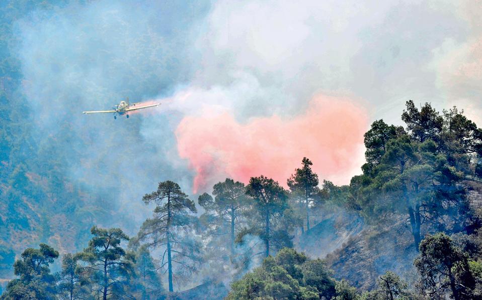 Hopes huge Cyprus forest fire can be contained
