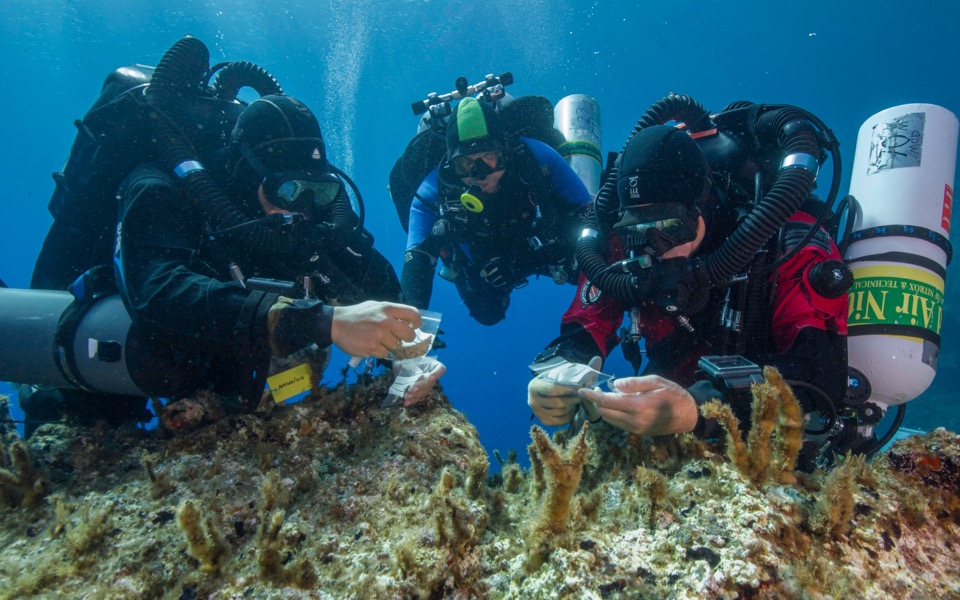 Wreck survey fails to find more parts of ancient cog