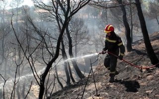 Minister calls on citizens to exercise caution against fires