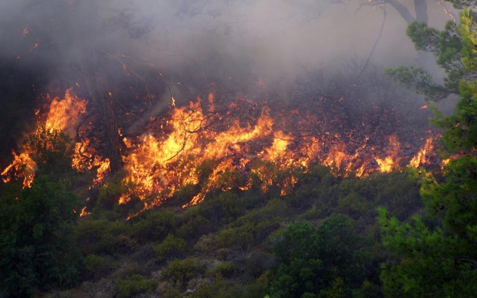 Greek, Israeli aircraft help battle huge Cyprus forest fire