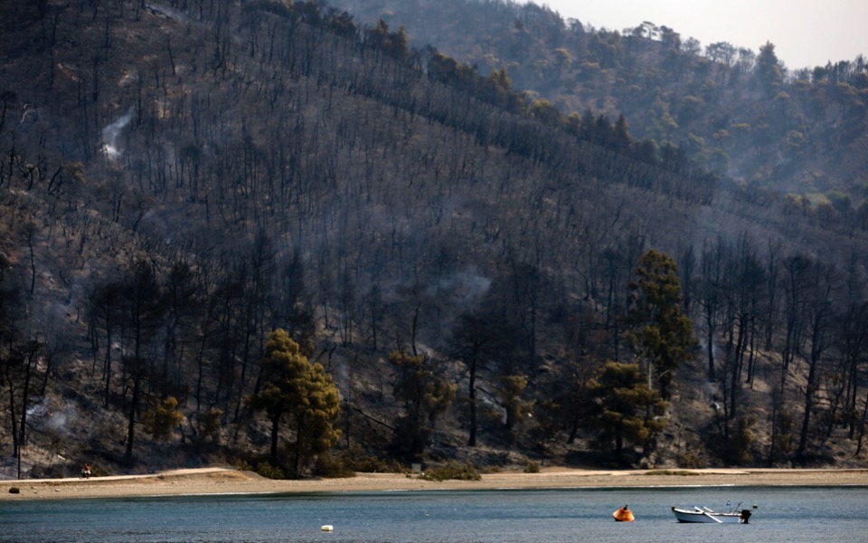Thousands of hectares razed by Evia wildfire