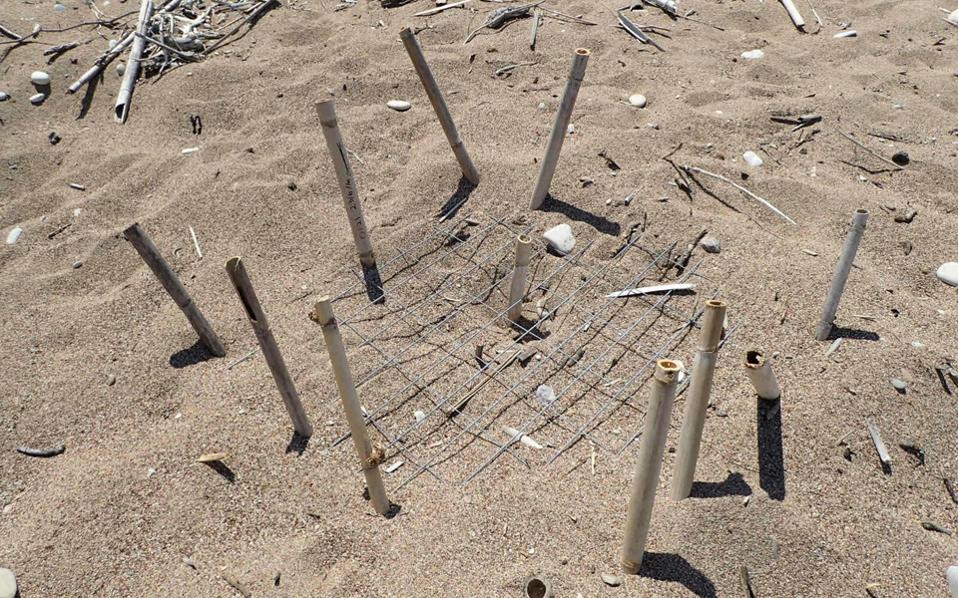 Spike in vandalism at sea turtle nesting site in Kyparissia