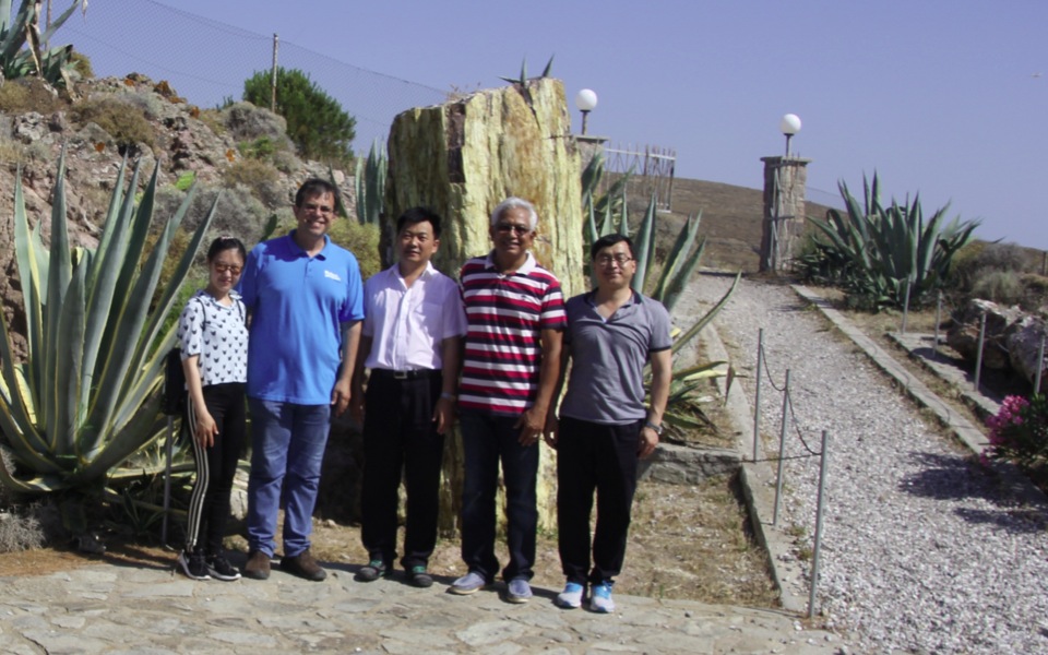 Greece and China forge ties through petrified forest