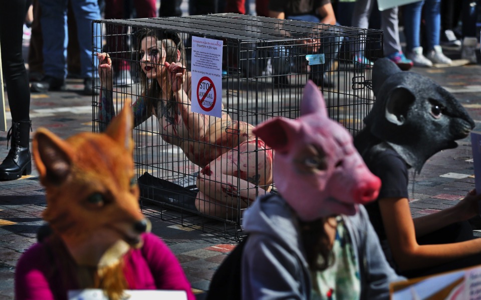 Animal rights activists protest in Athens