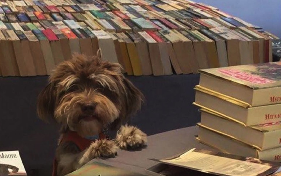 Charity Book Sale | Athens | March 11-12