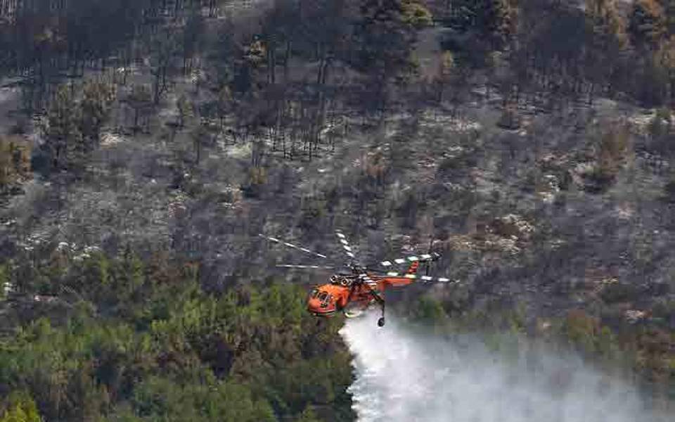 Forest fire threatens homes on Greek island