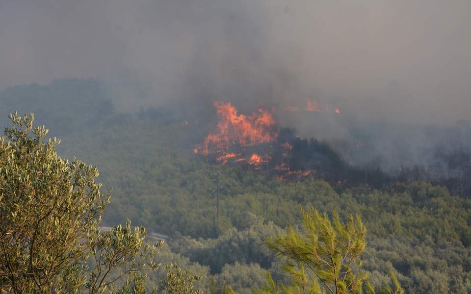Large wildfire threatens homes on Ionian island of Zakynthos