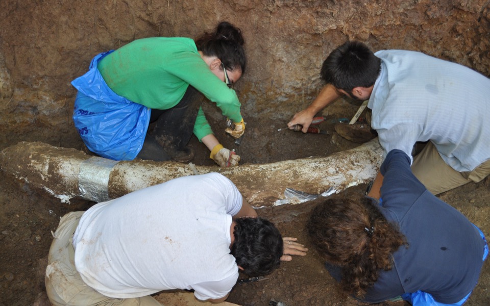 Peloponnese village to host new paleontology museum