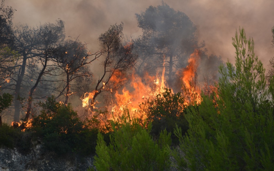 Numerous wildfires put strain on Zakynthos