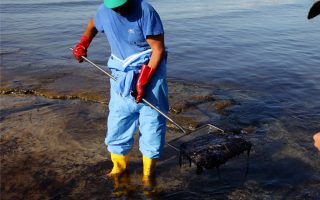 EC confirms request for oil spill aid was lodged late