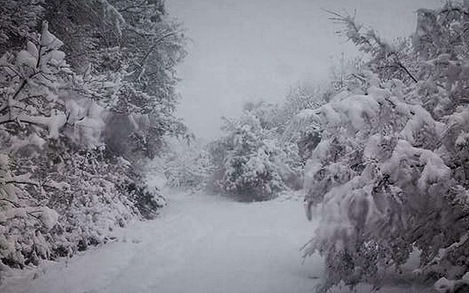 Heavy snowfall traps bus in Peloponnese mountains