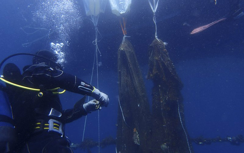 Cleaning the seabed: Divers halt the carnage of ‘ghost’ nets
