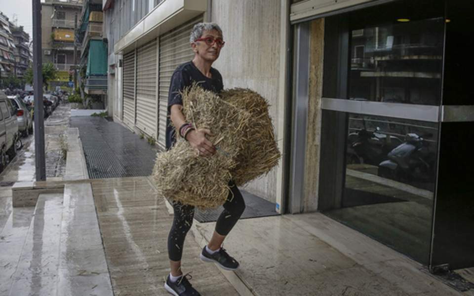 Protesters throw hay outside ANEL’s offices