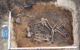 Scientific team with Greek expert decodes Bronze Age bubonic plague genome
