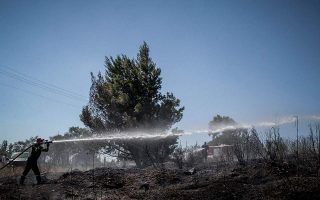 Blaze in Athens suburb park under control, fireman lightly injured