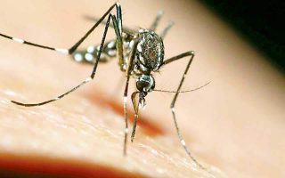 Number of people infected with West Nile virus rises to 12