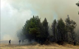 large-fire-burning-grassland-in-western-crete