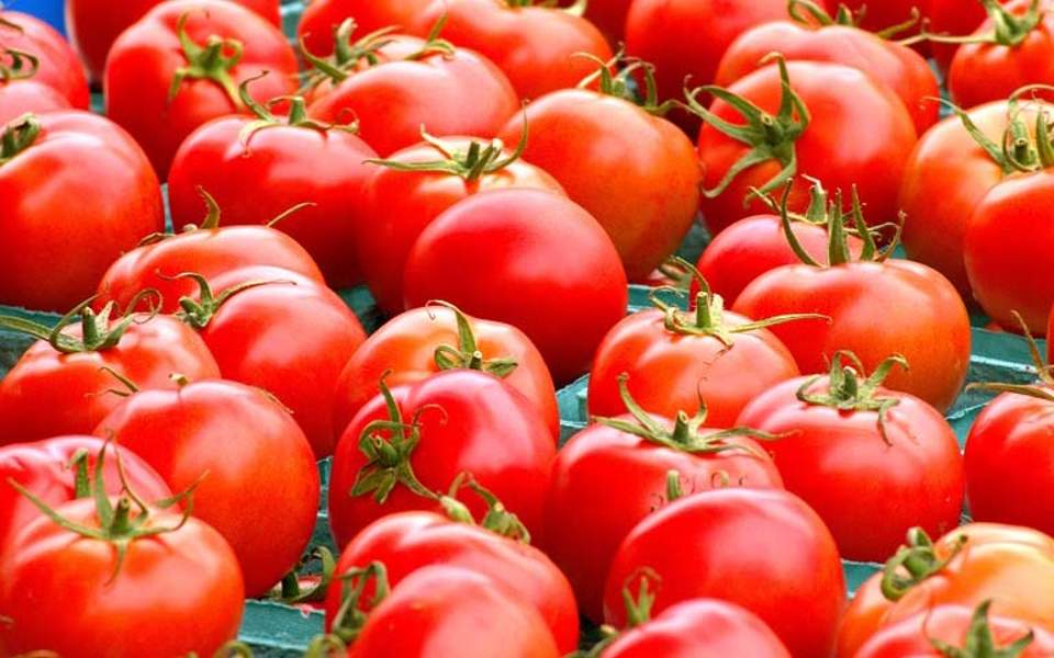 Unfit tomatoes seized, destroyed in Piraeus