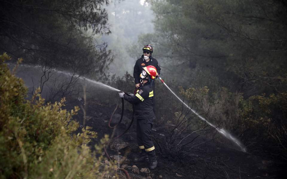 Blaze in Halkidiki brought under control