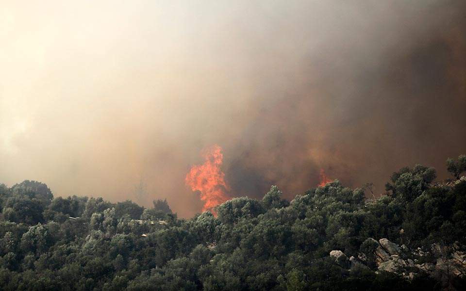 Wildfire damage in northern Greece estimated at 700 hectares