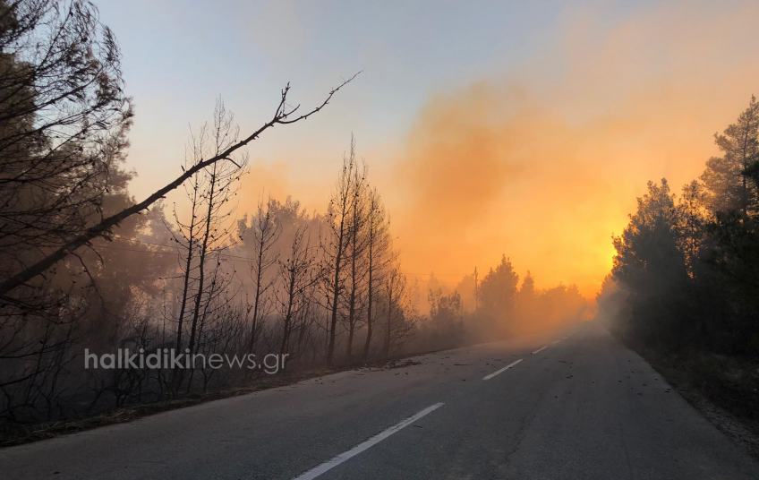 Large forest fire raging in Sithonia