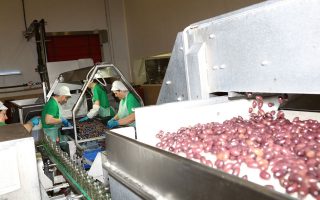 Exports exceeded 30 bln in just 11 months
