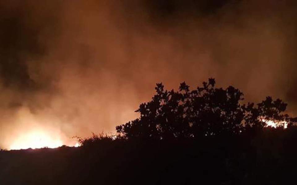 Large Evia fire brought under partial control