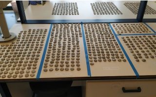 More than 1,000 ancient coins seized from Turkish man at border crossing