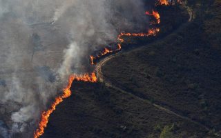 WWF warns of worsening ‘superfires’ across Europe