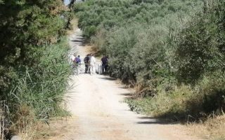 Police confirm identity of US scientist’s body found in Crete