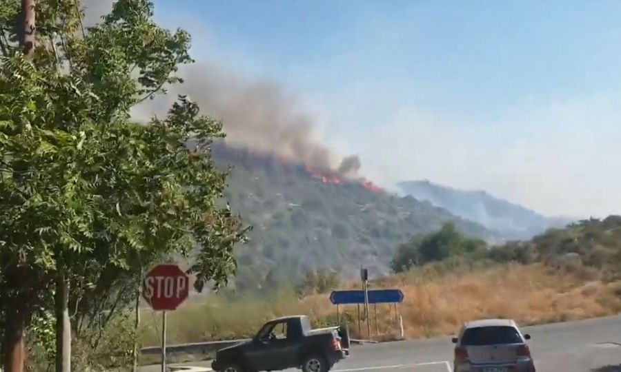 One arrested following Limassol wildfire
