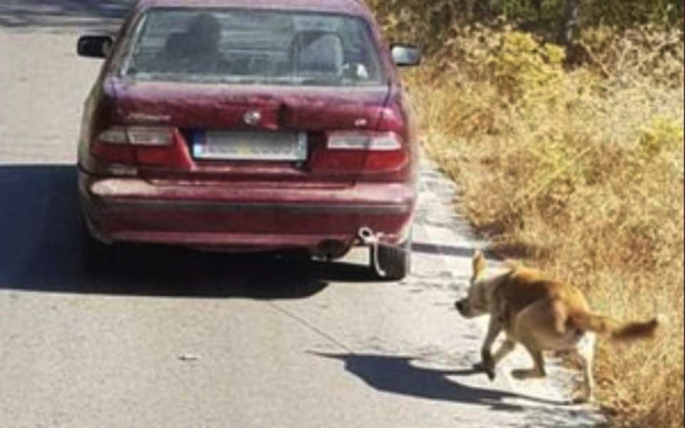 Man who dragged dog with car arrested in Crete