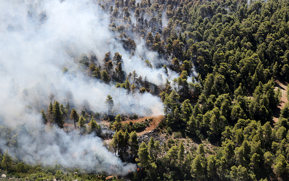 Evia fire confined to a gorge away from villages