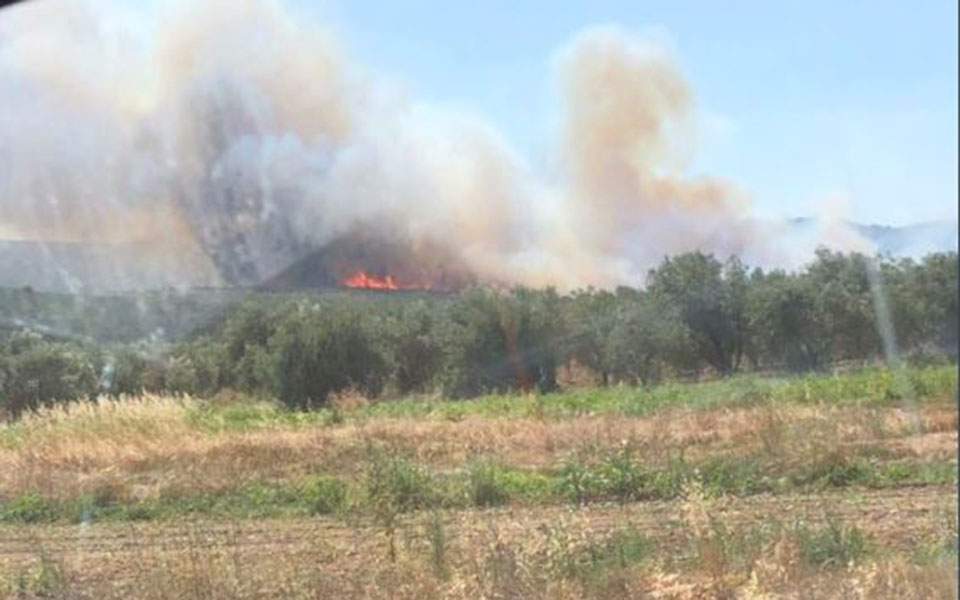 Blaze burning grassland in Marathonas