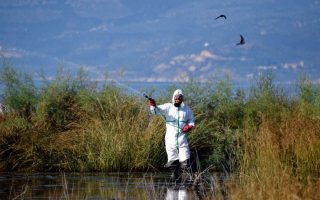 Precautionary measures urged over West Nile virus