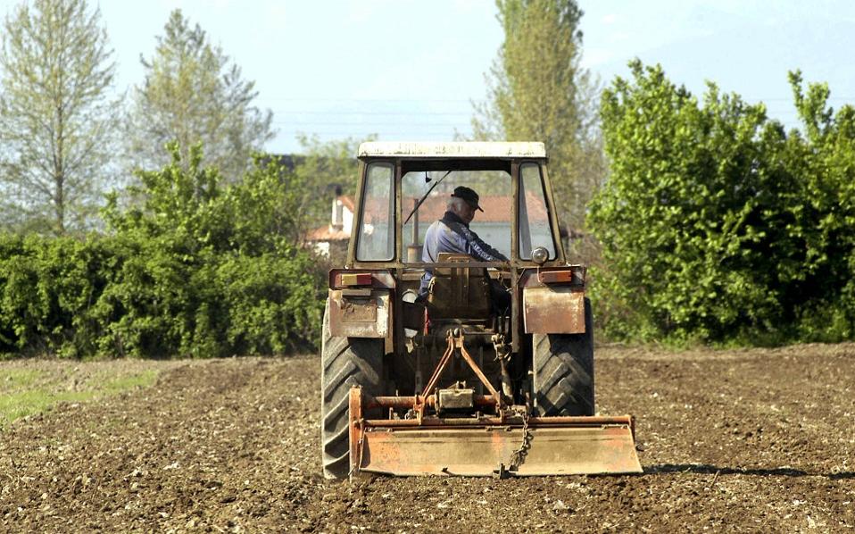 EIB support for young Greek farmers