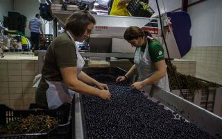 Winemakers to get back consumption tax paid for this year