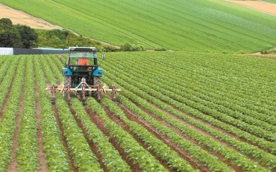 Israeli envoy, minister discuss upgrading agricultural cooperation