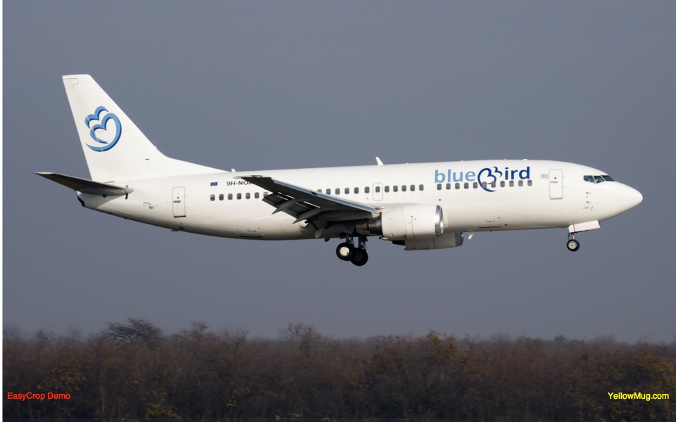 Bluebird to resume Israel flights in July