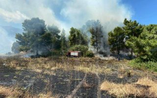 Crews take control of fire in Alepohori