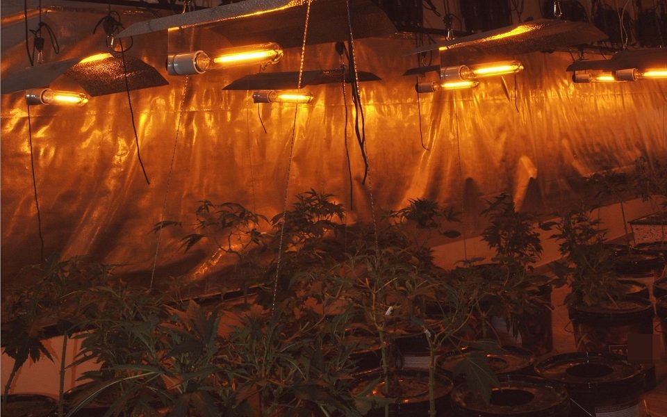 Police dismantle hydroponic cannabis farm in central Greece