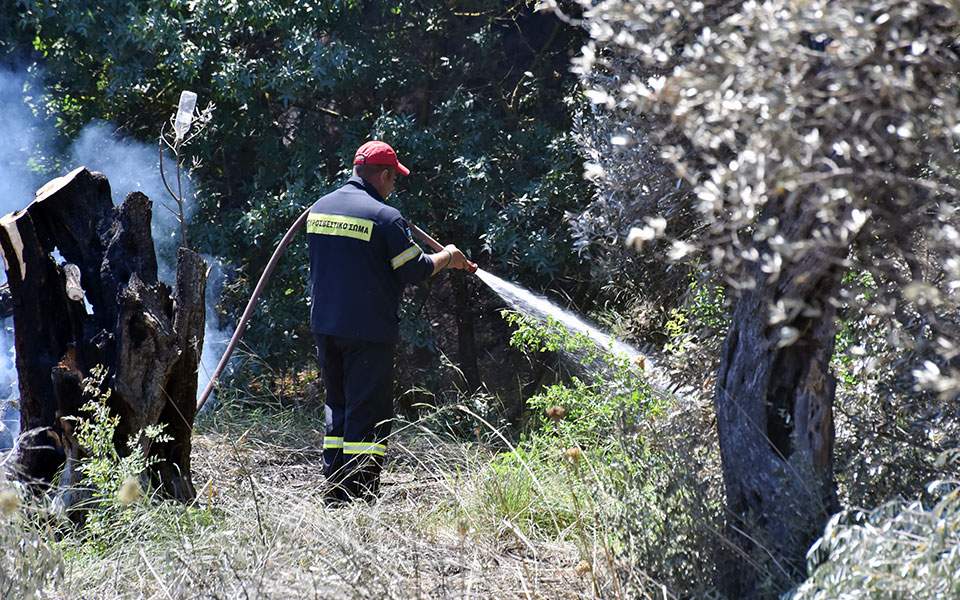 Fire in Athens suburb of Aghios Stefanos contained