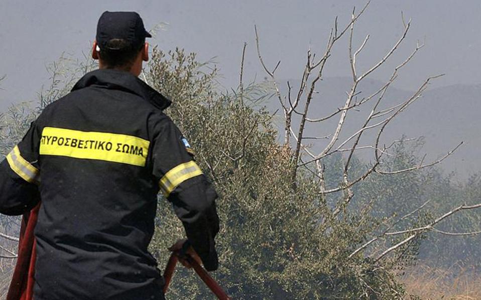 Firefighters still battling blaze in Mani in the Peloponnese